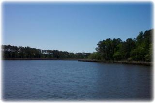 107 Coaches Creek Dr, Havelock, NC 28532-8686