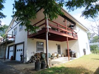 208 Maddux St, Branson, MO 65616-2928