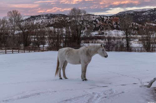 799 Hoytsville Rd, Hoytsville UT 84017-9742 exterior