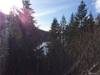 61 Wynoochee Dr, Cushman Dam, WA 98548-9677