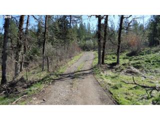 133 Diamond Rock Rd, Tiller, OR 97484-9711