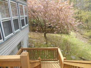 12214 Dapple Gray Ct, Woodbridge VA  22192-6280 exterior