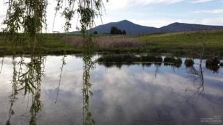 6651 Green Valley Rd, Prineville, OR 97754-8037