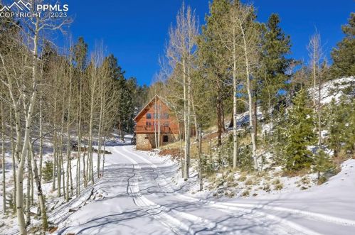 35 Horseshoe Dr, Divide, CO 80814-7783