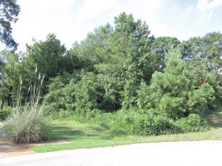 1002 Townside Lake Ct, Bishop, GA 30621-6413