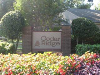 6977 Amberly Village Dr, Cordova TN  38018-5619 exterior