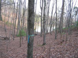532 Padsett Ct, Big Canoe, GA 30143