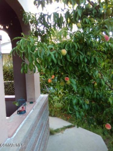 220 Warren St, Taft, CA 93268-2514