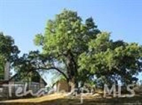 19504 Moon Dr, Tehachapi, CA 93561-8206
