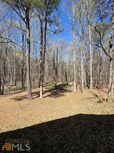 135 Ashley Creek Dr, Newnan GA  30263-4167 exterior