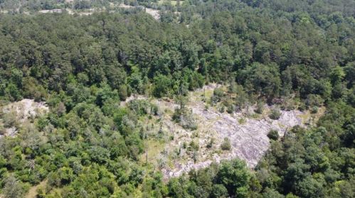 2258 Sumner Ct, Conyers GA  30012-2567 exterior