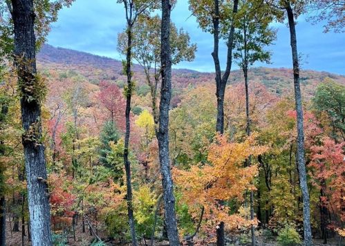 1458 Valley View Dr, Big Canoe GA  exterior