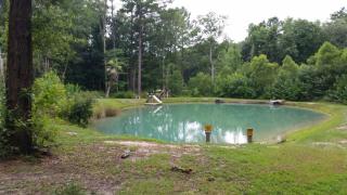 2968 Lower Hawthorne Trl, Cairo GA  39828-6403 exterior