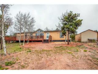 384 Columbine Rd, Twin Rock, CO 80816-8845