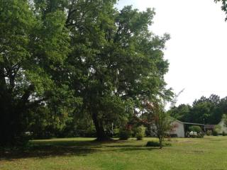8554 Doar Rd, Awendaw SC  29429-6037 exterior