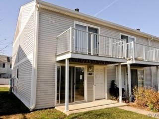 467 Meadow Green Ln, Volo IL  60073-1356 exterior