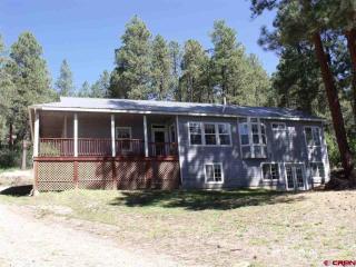 1001 Pine Valley Rd, Vallecito, CO 81122-9221