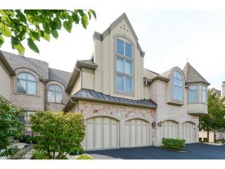 1566 Paul Le Comte Ct, Palatine IL  60067-1221 exterior