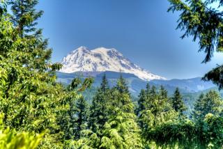 211 Conant Dr, Alder, WA 98328-8046