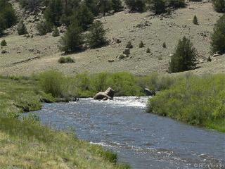 110 Shotgun Ct, Fairplay, CO 80456-9796