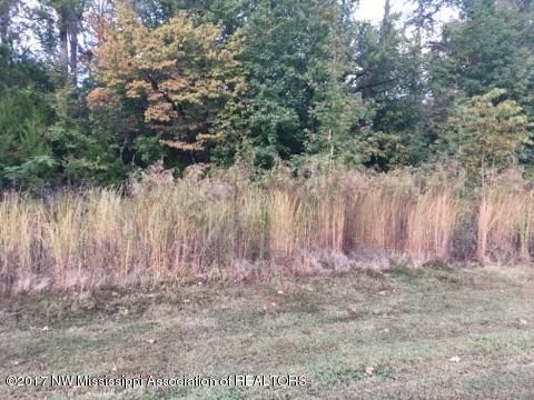 94 Morrow Crest Dr, Hernando, MS 38632