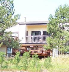 322 Raspberry Ln, Woodmoor CO  80132-7107 exterior