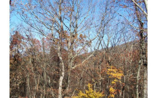 142 Sharp Mountain Pkwy, Big Canoe, GA 30143-4846