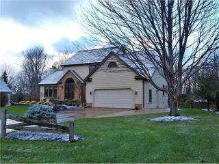 10391 Misty Ridge Dr, Concord Township, OH 44077-9001