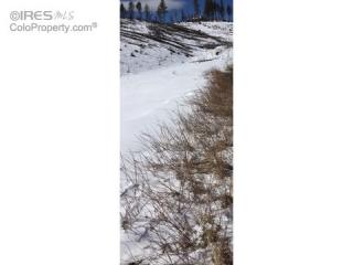 811 Little Whale Rd, Bellvue, CO 80512-5941