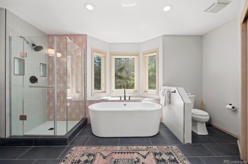 21 Saw Whiskers Cir, Montezuma CO  80435-7903 exterior