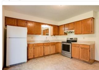 403 Minnehaha Ave, Saint Paul MN  55130-4208 exterior