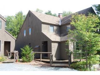 41 Terrace Vw, Grantham, NH 03753-5487