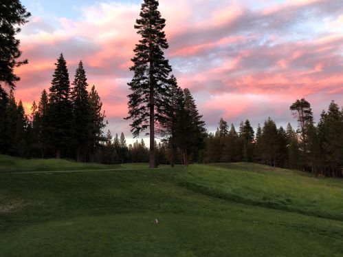11681 Norse Ave, Truckee, CA 96161-6712
