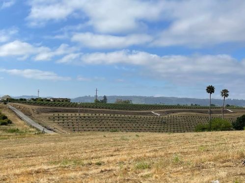 667 Lakeview Rd, Watsonville, CA 95076-2227