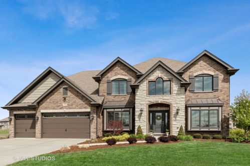 8580 Stone Creek Blvd, Frankfort, IL 60423-9338