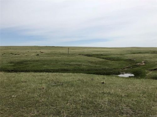 36533 County Road 153, Agate, CO 80101-9614