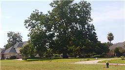 33022 Weatherby Ct, Fulshear, TX 77441-4266