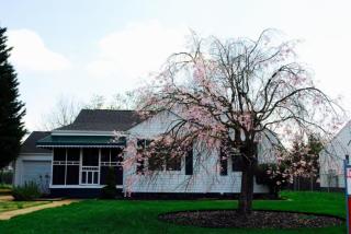 520 Notre Dame Ave, Chattanooga, TN 37412-2958