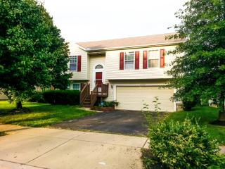 4990 Brice Creek Dr, Cnl Wnchstr OH  43110-8442 exterior