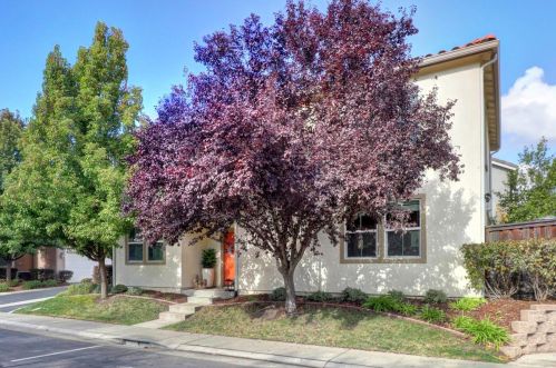 6324 Brando Loop, Fair Oaks, CA 95628-3763