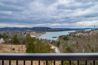11 Treehouse Ln, Branson, MO 65616-6167