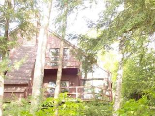58 Pintail Knob, Grantham, NH 03753-5474
