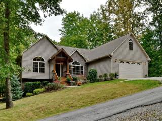 565 Sweetwater Dr, Canton, NC 28716-8711