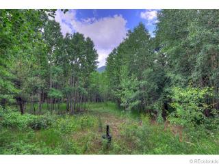 1092 Golden Gate Dr, Lakewood, CO 80403