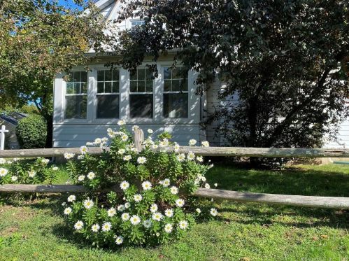 18 Nelson Ave, Norwalk CT  06851-3925 exterior
