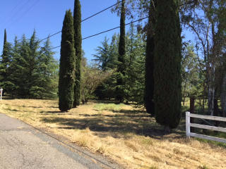 13420 Montfort Rd, Clay, CA 95638-9760