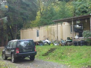 1007 Riverwood Ln, Oakland, OR 97462-4600