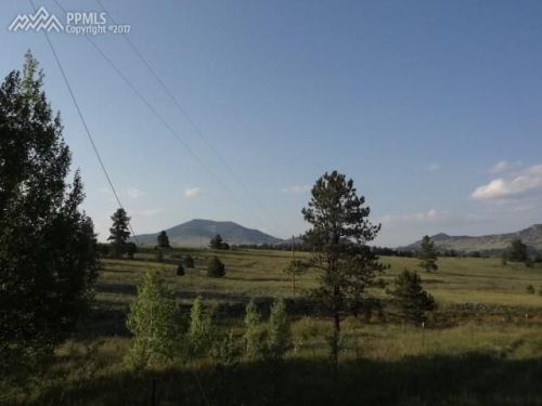943 Bristlecone Rd, Guffey, CO 80820