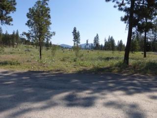 7246 Willow Ranch Way, Tum Tum, WA 99034-8702