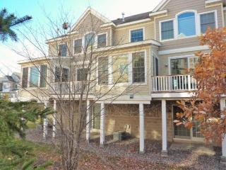 950 Fairfield Ct, Hopkins, MN 55305-1403